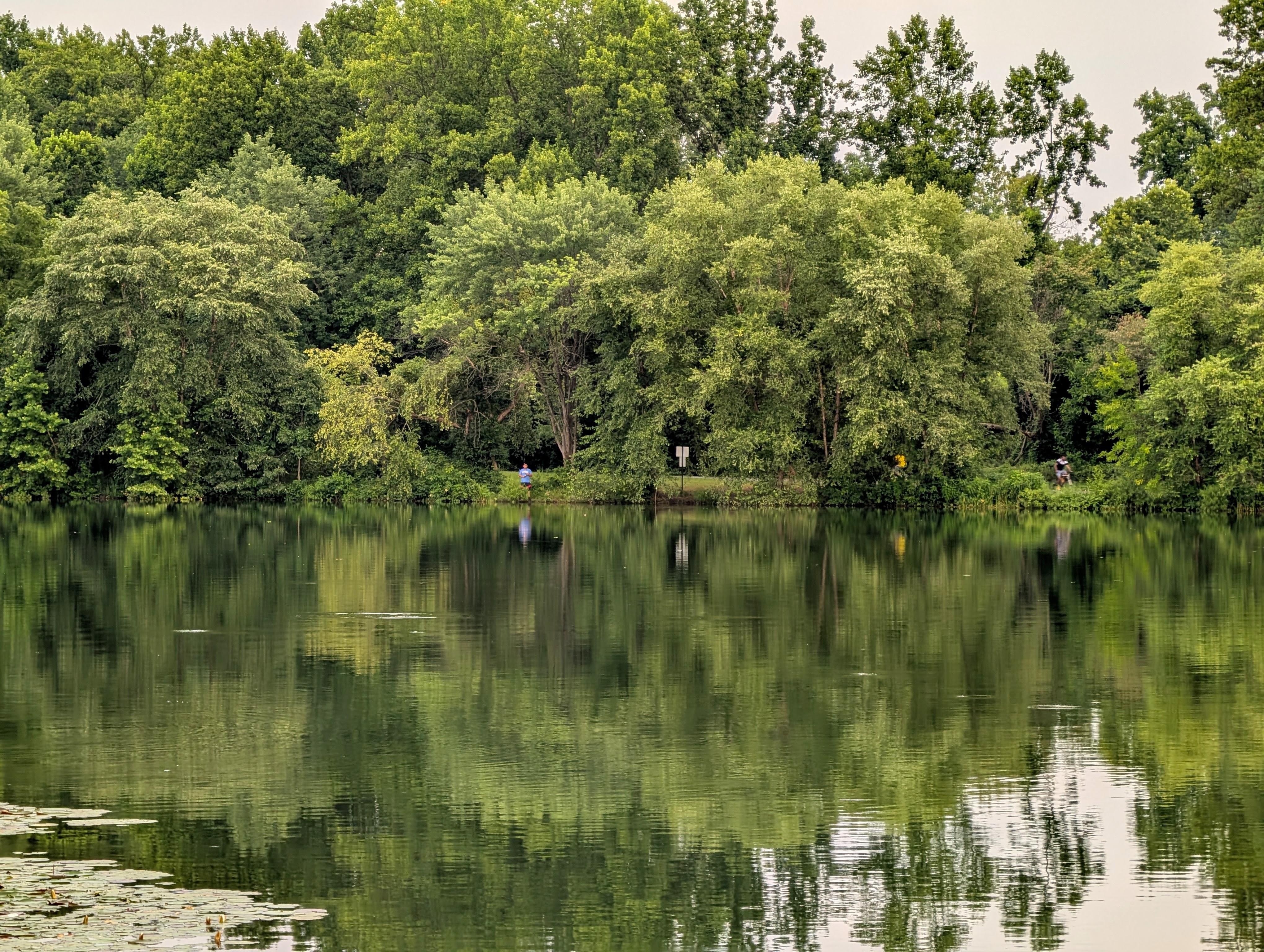 Photo 20: Lake Artemesia, College Park, MD, USA
