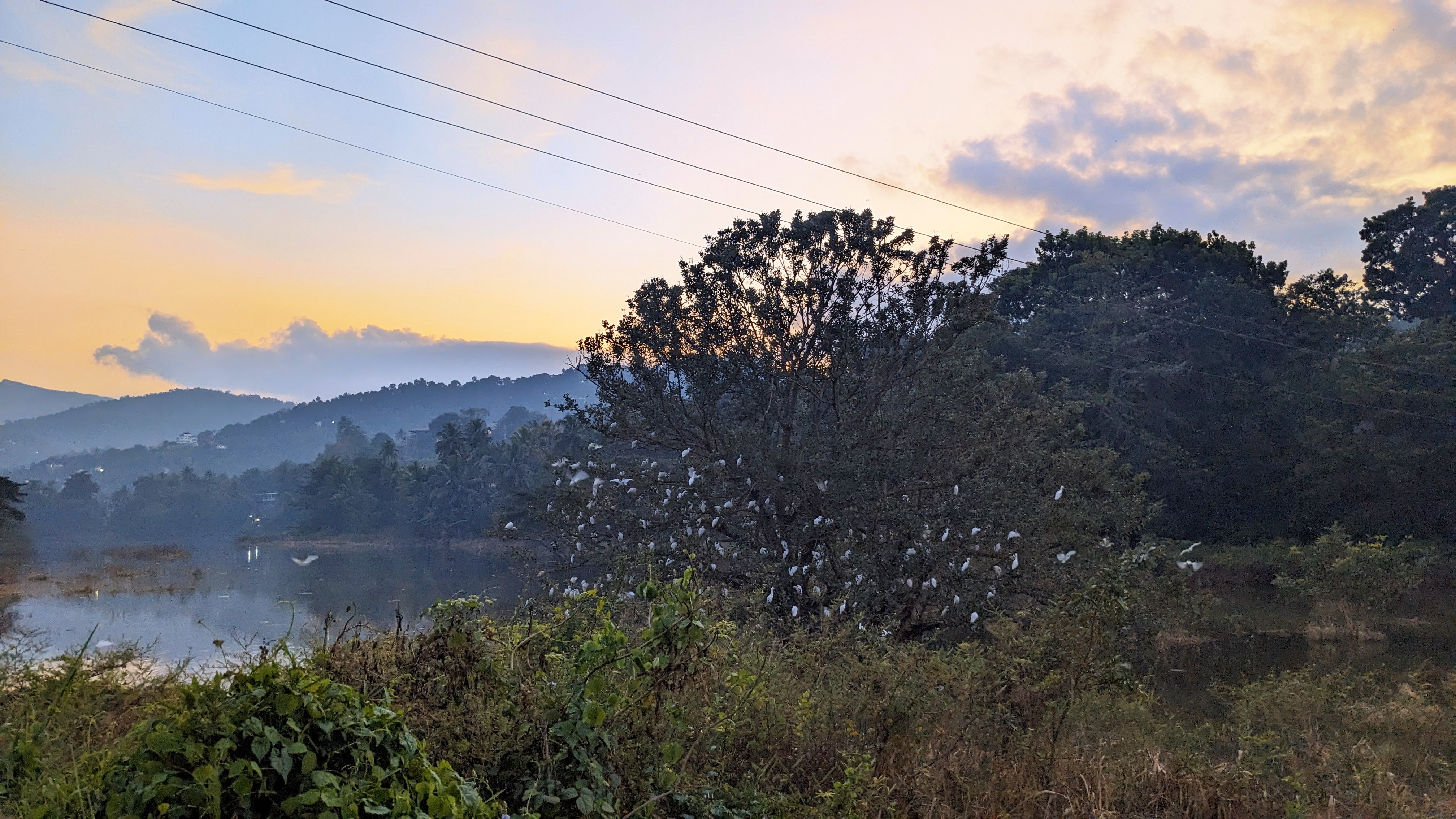 Photo 10: Royal Classic Resort, Kandy, Sri Lanka